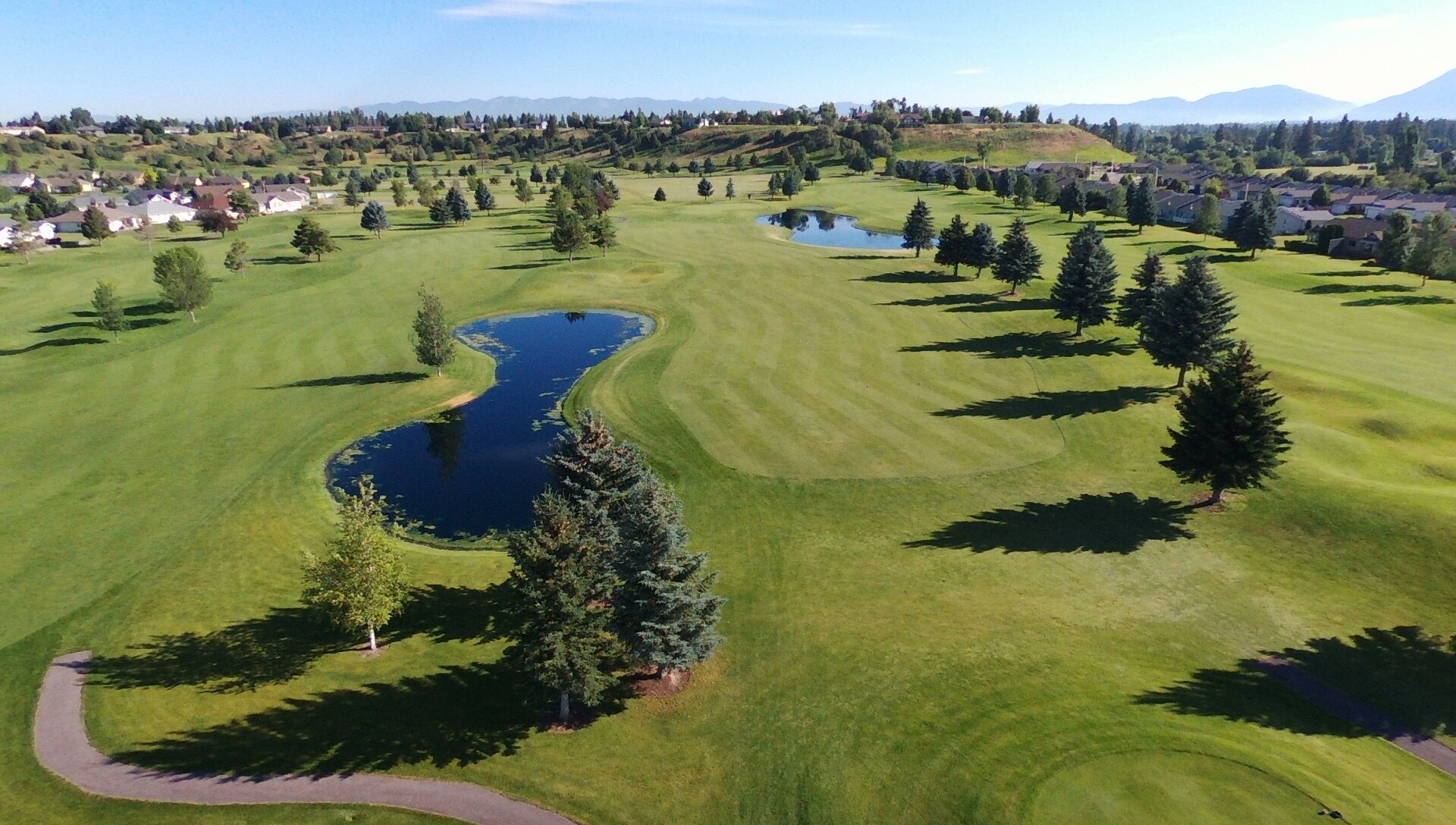 Golf Village Greens